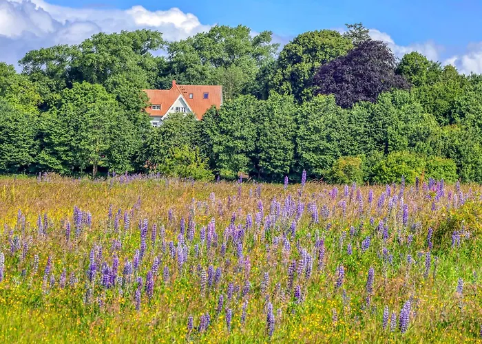 Waldblick Glücksburg
